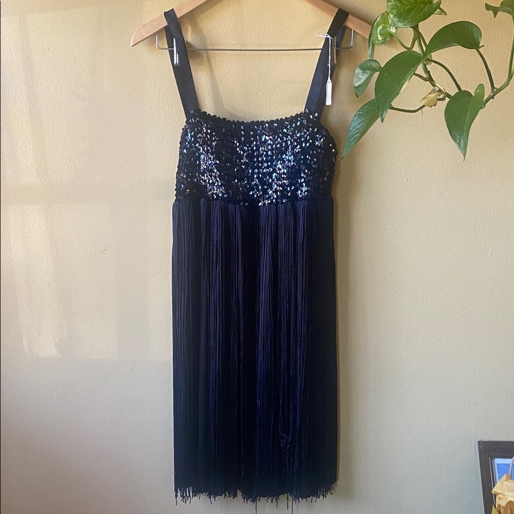 Vintage Black Flapper Costume Sequin Fringe Dress